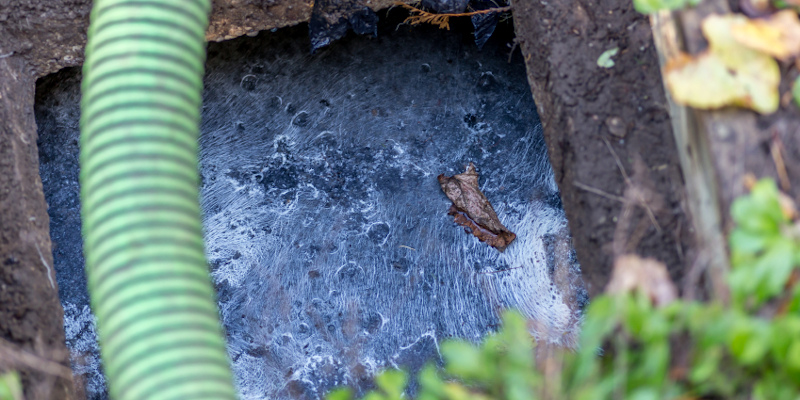 Septic Tank Services in Webster, Florida